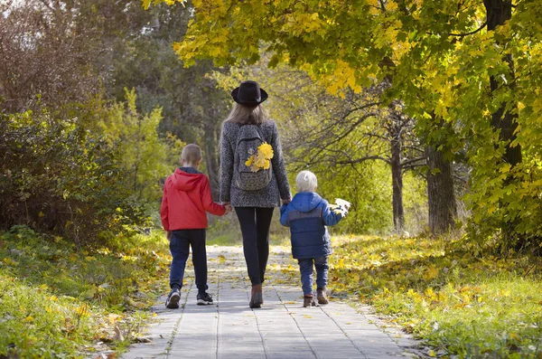 stock image Mother and two sons walking in the autumn forest. Back view