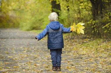 Sarışın çocuk sonbahar parktan çalıştıran. Arkadan Görünüm