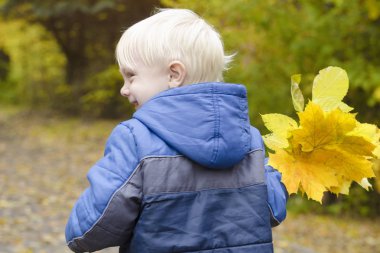 Sarışın çocuk sonbahar parkta. Arkadan görünüm