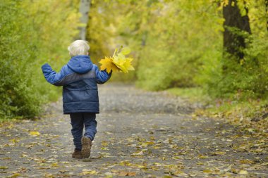Sarışın çocuk sonbahar parktan çalıştıran. Arkadan Görünüm