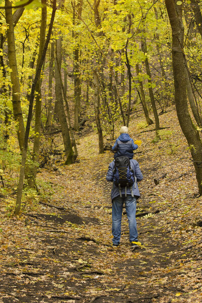 Father with his son on his shoulders walking in the autumn forest. Back view