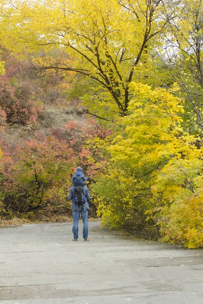 Padre Hijo Sobre Sus Hombros Caminan Por Parque Otoño Vista — Foto de Stock