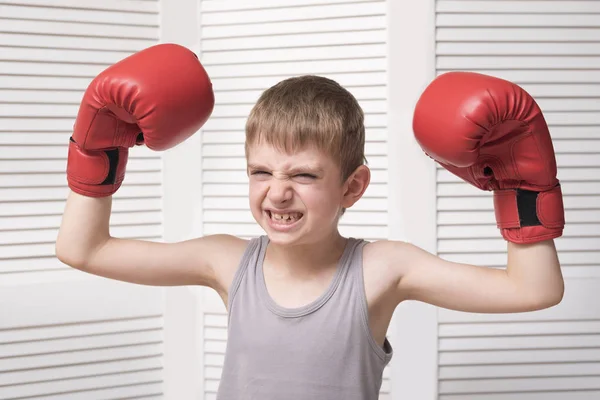 Wütender Junge Roten Boxhandschuhen — Stockfoto