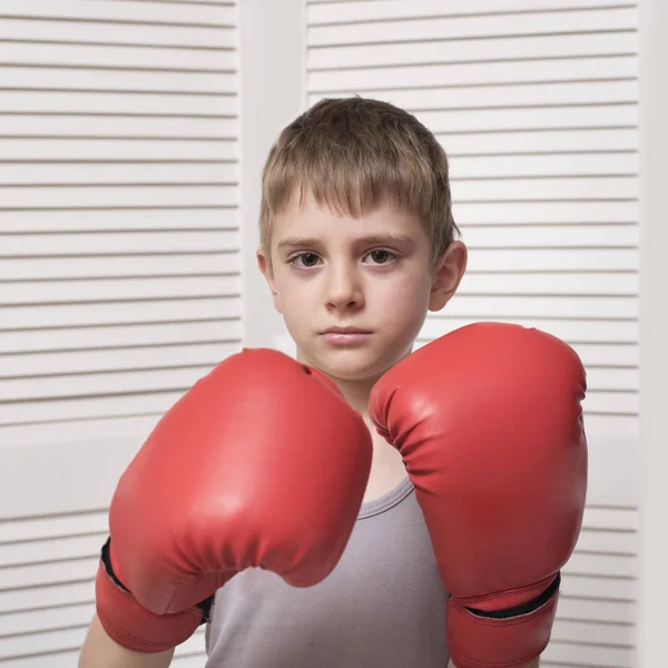 赤いボクシング グローブの少年 スポーツ コンセプト — ストック写真