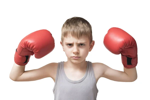 Angry Boy Red Boxing Gloves Isolated — Stock Photo, Image