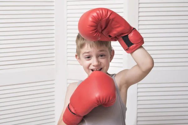 Lustiger Junge Roten Boxhandschuhen Sportkonzept — Stockfoto