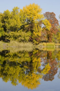 Sonbahar yaprak döken orman nehre yansıtıyordu. Parlak mavi gökyüzü