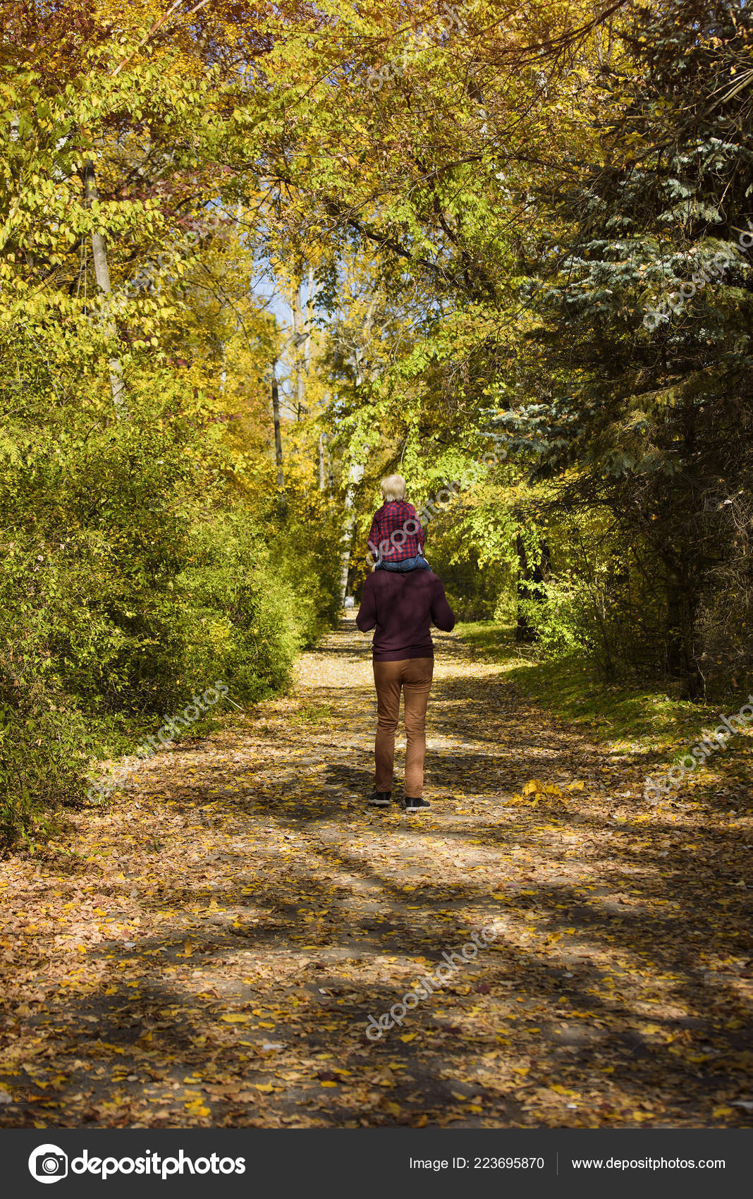 Father and son hiking in forest. Looking at map Stock Photo - Alamy