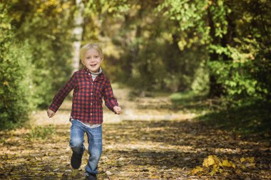 Ekose gömlekli sarışın çocuk sonbahar sokağın aşağısında çalışır.