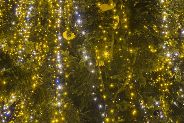 Χριστουγεννιάτικο Φωτισμό Για Χριστουγεννιάτικο Δέντρο Γκρο Πλαν Μυστήριο — Φωτογραφία Αρχείου