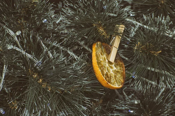 Orange Séchée Sur Sapin Noël Décoration Gros Plan — Photo