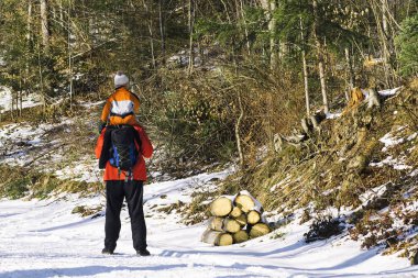 Sırt ve omuzlarda standları kar ve iğne yapraklı ağaçlar orman arka planı üzerinde oğlu olan adam. Kış günü. Arkadan görüntüleyin. Yakın çekim