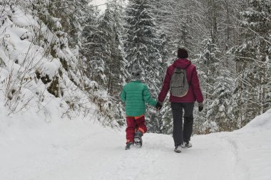 Anne oğluyla iğne yapraklı orman arka planı karla kaplı yol boyunca yürüyüş. Kış günü