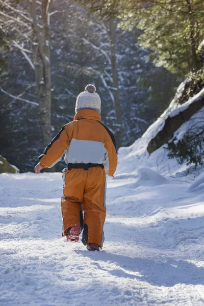 Liten Pojke Orange Overall Snötäckta Vägen Barrskog Solig Vinterdag Vertikal — Stockfoto