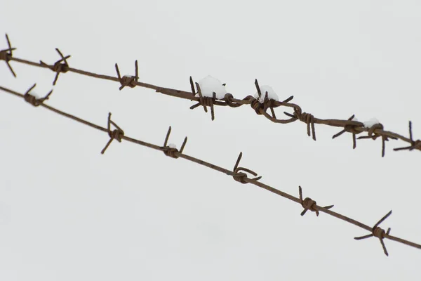 Two rows of barbed wire on a background of snow. Close-up.