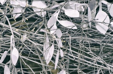 LED çelenk beyaz dalları ve beyaz yaprakları. Yükleme.