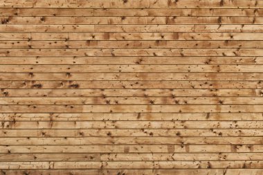 Duvar kaba kahverengi ahşap plakalar deniz mili ile yapılmış. Ön görünüm. Yakın çekim