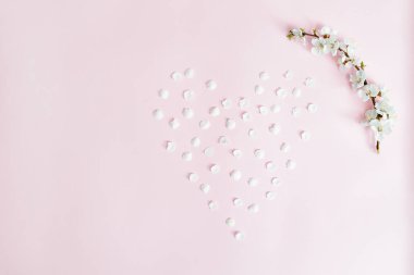 Bahar arka plan. Kayısı şube ve düşmüş yaprakları pembe bir arka plan üzerinde kalp şeklinde ortaya koydu. Düz yatıyordu. Sakura şube.