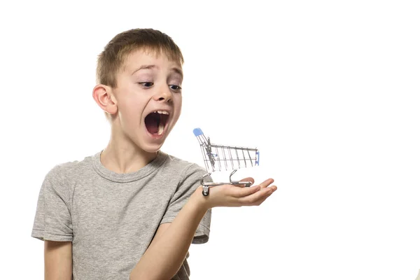 Удивленный Мальчик Открытым Ртом Держащий Маленькую Металлическую Тележку Покупками Ладони — стоковое фото