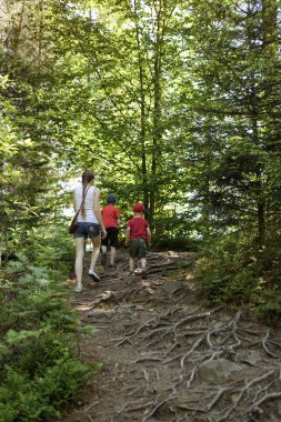 Anne ve iki küçük oğlu ormanda yürüyor. Annelik ve dostluk.