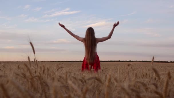 Niña Pie Campo Trigo Con Las Manos Detrás Cabeza Cielo — Vídeo de stock