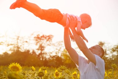 Babası oğlunun güneşli ayçiçekleri alanı üzerinde yukarı atar