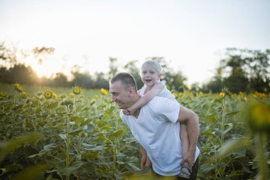 Arka gülümseyen oğluyla mutlu baba çiçek açan ayçiçeği yeşil sahada günbatımında yürür.
