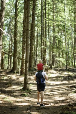 Babası bir iğne yapraklı orman yürüyüş onun omuzlarında sırt çantası ve genç oğlu ile. Arkadan Görünüm. Faaliyetleri ve Turizm