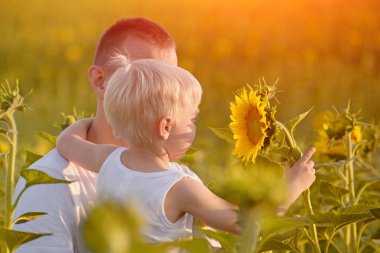 Küçük oğlu yeşil alan ayçiçeği arka planda babasının ellerinde oturan bir çiçek Ayçiçeği tutar. Yakın çekim