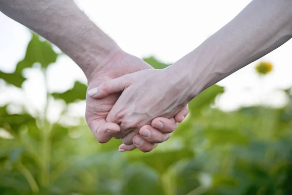 Hand i hand, kvinnliga och manliga på en bakgrund av gröna fält. Närbild — Stockfoto