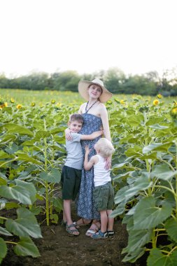 Çiçek açan ayçiçeği tarlası iki küçük oğlu sarılma mutlu hamile anne. Dikey Çerçeve