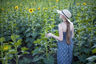 Uzun saçlı kız bir şapka ve kıyafet ile kendi arka ayçiçeği çiçeklenme bir arka planı alanında duruyor. Arkadan Görünüm