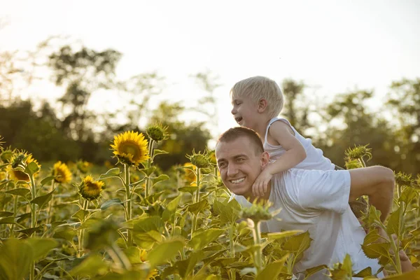 Çiçek açan ayçiçeği yeşil bir alanda yürüyüş arka oğluyla mutlu gülümseyen baba