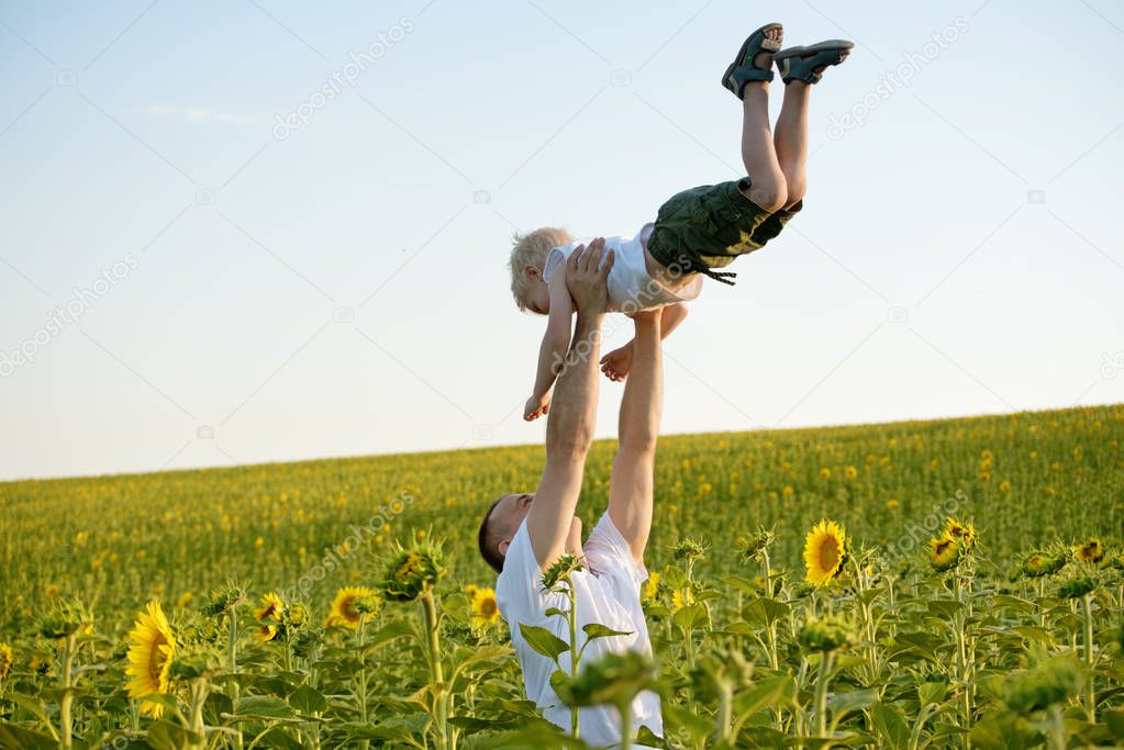 Father throws up his little son on a green sunflowers field against the sky.