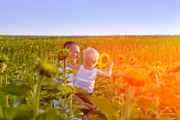 Lycklig far med sin lilla son i famnen stående på ett grönt fält av solrosor mot en blå himmel — Stockfoto