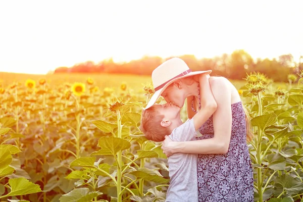 Lycklig liten son kysser Gravida mamma står på soligt fält av blommande sol rosor. Närbild — Stockfoto