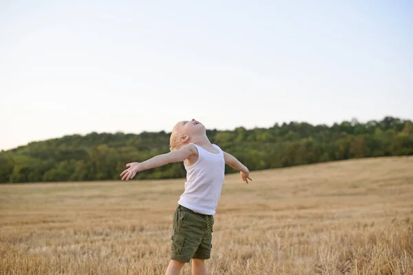 Happy blond boy stands with his arms apart and head up in a mowed wheat field. Sunset time