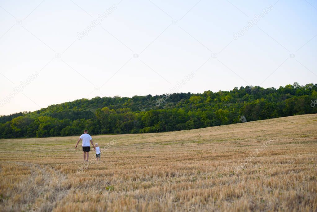 father and his little son are walking along a mowed wheat field. Back view. Sunset time