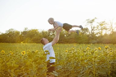 Babası oğlunun güneşli ayçiçekleri alanı üzerinde yukarı atar