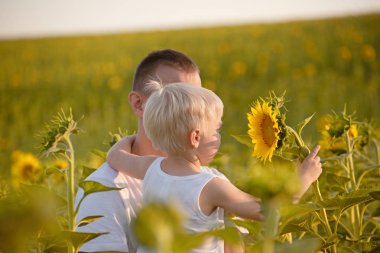 Küçük oğlu ayçiçeği yeşil alan arka planda babanın elinde oturan bir çiçek ayçiçeği tutar