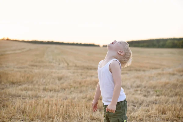 Joyeux garçon blond se tient la tête haute sur un champ de blé fauché. Heure du coucher du soleil — Photo