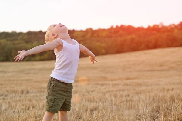 Happy blond boy stands with his arms apart and head up in a mowed wheat field. Sunset time