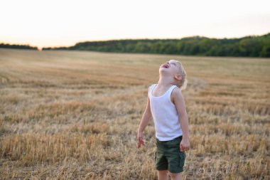 Mutlu sarışın çocuk bir öğütülmüş buğday alanında başını yukarı duruyor. Günbatımı zamanı