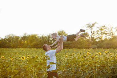 Babası oğlunun güneşli ayçiçekleri alanı üzerinde yukarı atar