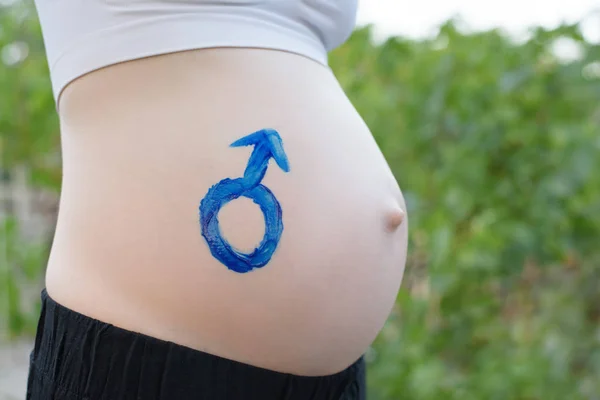 Símbolo masculino de género dibujado en una barriga femenina embarazada. Concepto de embarazada. Primer plano —  Fotos de Stock