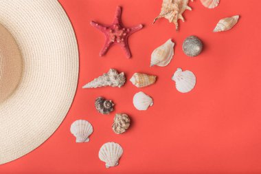 Çeşitli deniz kabukları ve hasır şapka nın bir parçası. Arka planda yaşayan mercanlar. Düz yatıyordu. Deniz konsepti
