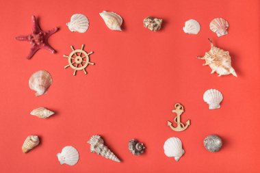 Yaşayan mercan arka planda deniz kabukları çeşitli çerçeve. Düz yatıyordu. Deniz konsepti