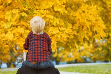Ekose gömlekli sarışın çocuk babasının omuzlarında oturuyor. Arka görüş. Sonbahar konsepti