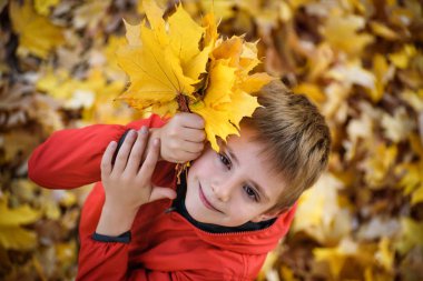 Sonbahar yaprakları bir buket ile sevimli çocuk standları ve yukarı bakar. Üst görünüm. Sonbahar konsepti