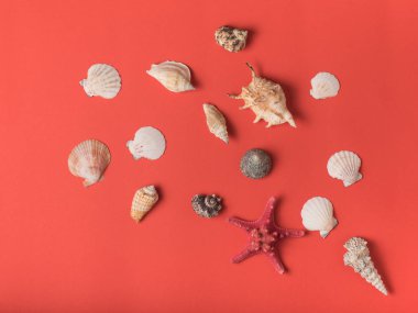 Yaşam mercan arka planda deniz çeşididen desen. Düz yatıyordu. Deniz konsepti